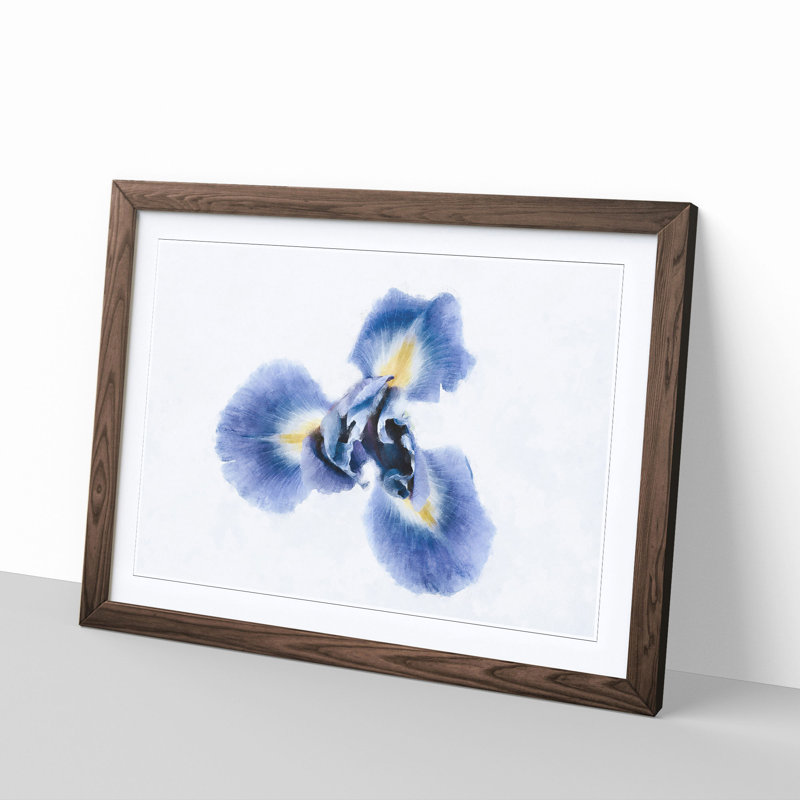 An Iris Flower In Blue - Picture Frame Painting Print, 45cm H x 63cm W x 2cm D, Walnut
