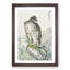 Japanese Golden Eagle by Numata Kashu - Framed Print-55770298-55770299