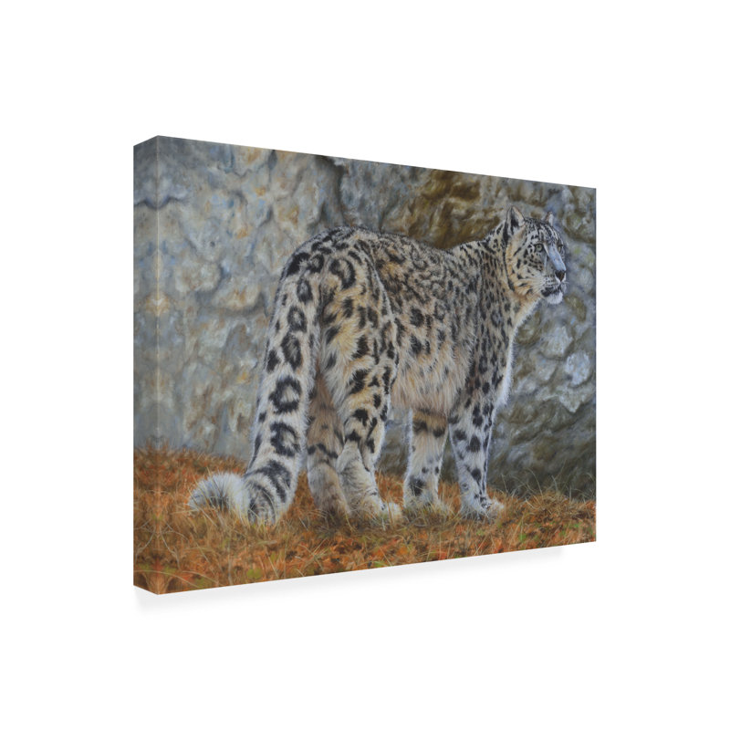 «Snow Leopard On Canvas» par Steve Crockett, art sur toile, H 14 po x l 19 po