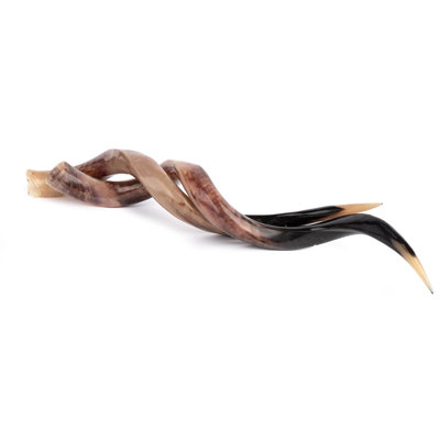 Polished Horn (Loose)