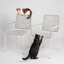 Chaises de patio d'extérieur empilables assemblées 2 pièces Reno-1756747938