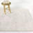 Iacchus Beige Distressed Traditional Area Rug-3571284