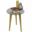 Glass Top End Table-33065395-36901275
