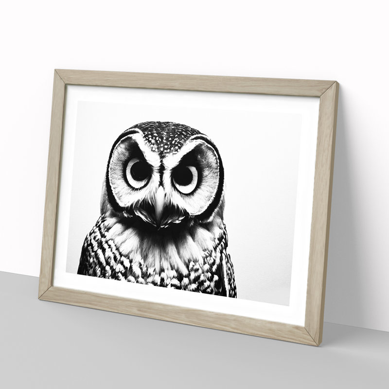 Barn Owl Monochrome - Single Picture Frame Painting, 25cm H x 34cm W x 2cm D, Oak