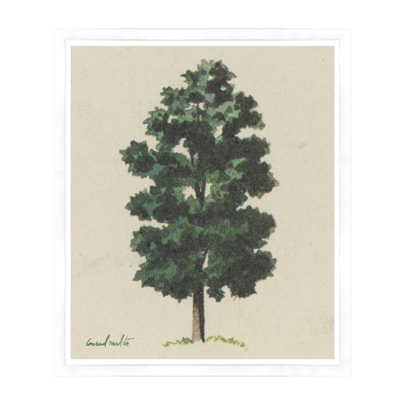 Forest Green Print, White Framed