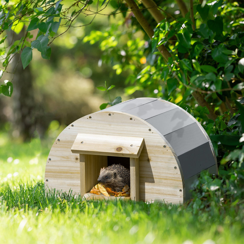 Weather Resistant Hedgehog Run