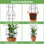 Lot de 4 treillis pour plantes grimpantes d'intérieur, treillis métallique extensible et robuste pour plantes en pot d'extérieur, fleurs, vigne, lierre, 43 cm (H)-7767332