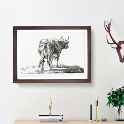 The Rear of a Cow by Jean Bernard - Picture Frame Drawing Print