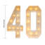 30th/40th/50th Light Up Numbers Birthday Party Decoration-100673629