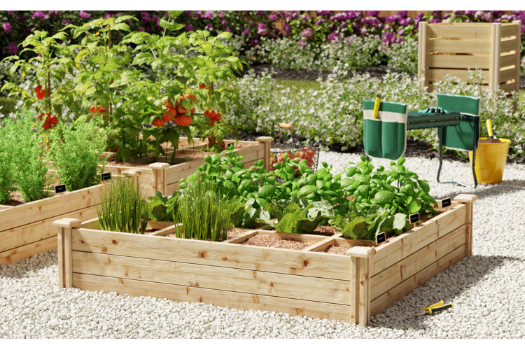 What Herbs Can Be Planted Together? | Wayfair
