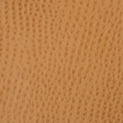 Contract Fabric