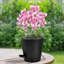 Pot Planter-810054731