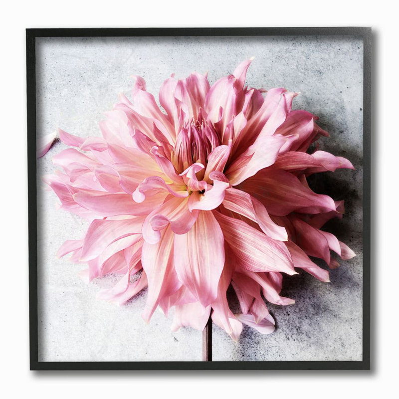 «Pink Spring Floral» par Sarah Jane - reproduction d'art graphique sur toile, H 12 po x l 12 po x P 1,5 po