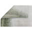 Area Rug-1517091409