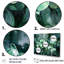 «Fantasy Green Orchid Dreamscapes II», reproduction sur toile-97040448-97040450