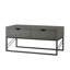 Sled Coffee Table with Storage-1059496220