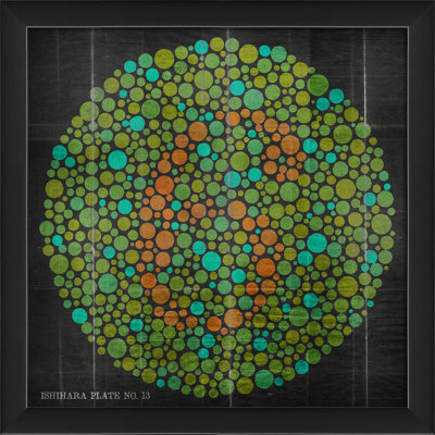 « ishihara colorblind test 13 », reproduction d’impression encadrée