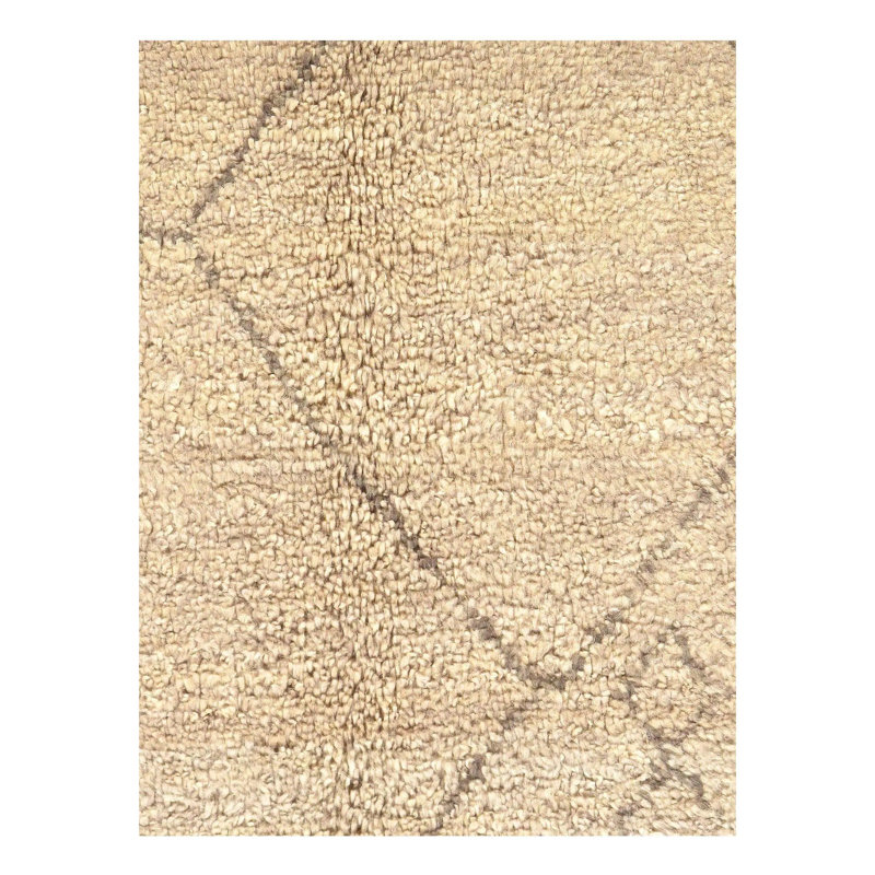 Wilja Oriental Area Rug