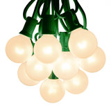 Beeston Outdoor 50 - Bulb 50'' Plug-in Globe String Light