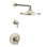 Garniture de douche avec poignée levier Arris