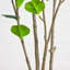 7 pi. Ficus artificiel minimaliste Audrey