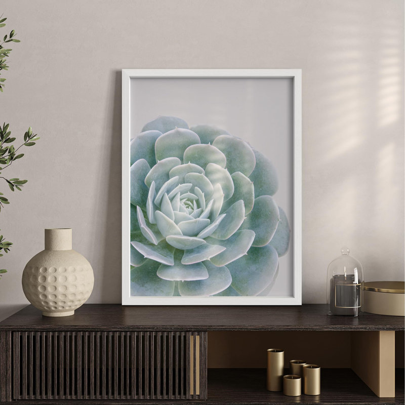 Rosette verte douce, gros plan, illustration botanique, petit décor, œuvre d'art, H 10 po x l 8 po, Blanc
