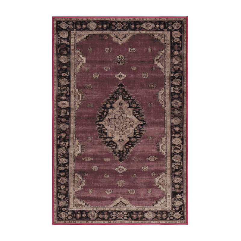Machine Washable Overdyed Brown Area Rug