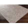 Caysee Indoor / Outdoor Rug