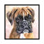 « fina boxer », reproduction sur toile-32498893-72122879-72122884