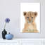 Bébé lionceau - reproduction d'art-53045713-53045714-53045726