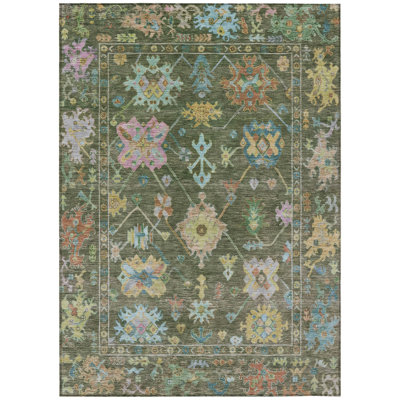 Machine Washable Indoor/Outdoor Leavittsburg ACN2234 Global Rug