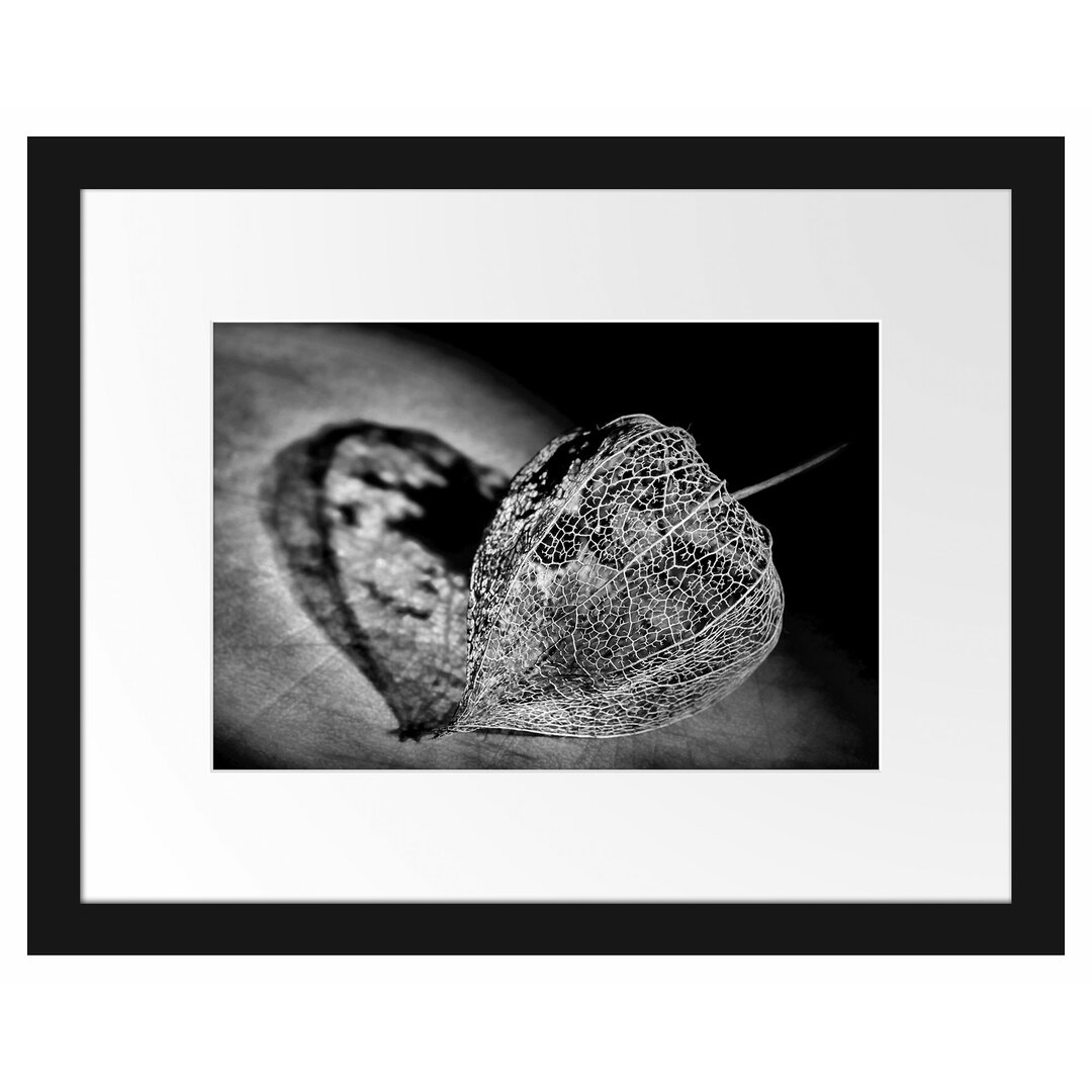 Gerahmtes Poster Schatten einer Physalis