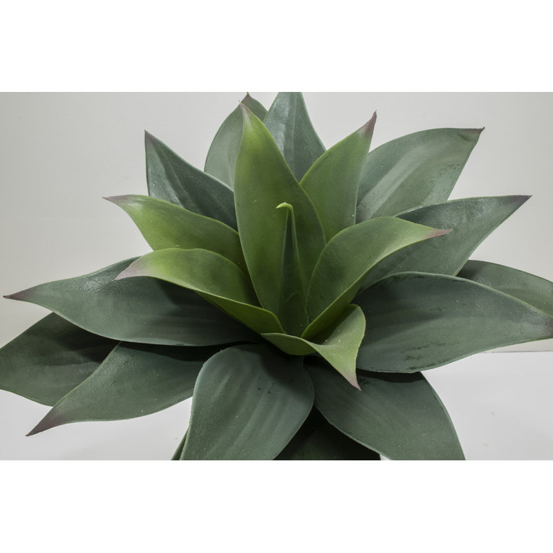 21'' Faux Agave Succulent in Pot
