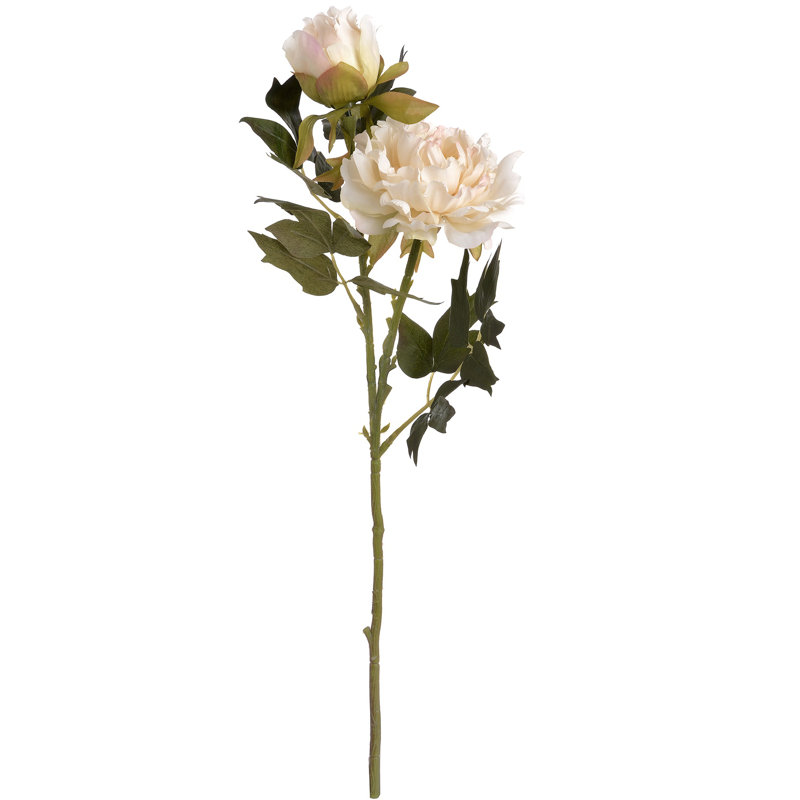Arrangement, White