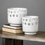 Walsh 7.1'' Ceramic / Porcelain Table Vase
