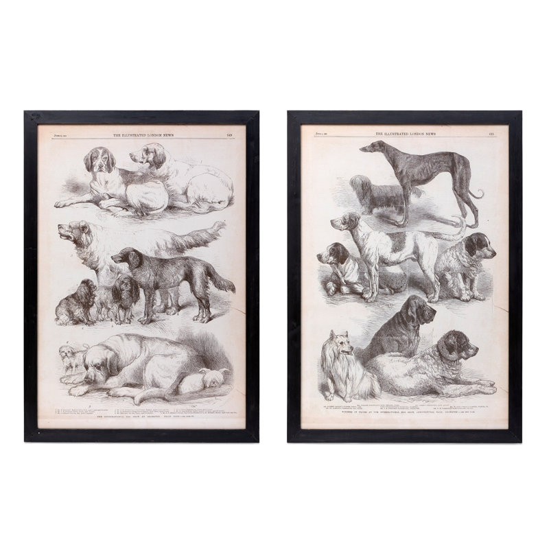 Canine Species Sepia Prints