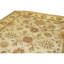 Hand Knotted Wool Oriental Area Rug in Ivory And Gold