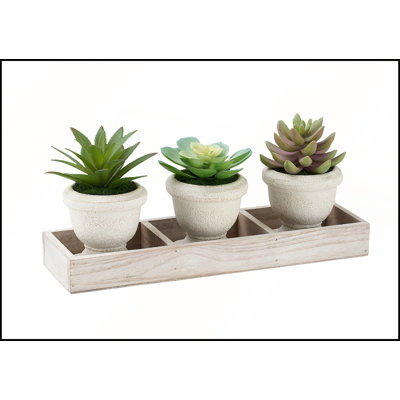 Ensemble de 3 plantes succulentes artificielles en pots beiges, 15 cm de hauteur, parfait pour une décoration de table moderne et une verdure nécessitant peu d'entretien.