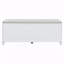 Banc de rangement multifonctionnel-1404074151