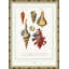 Seashells Giclee Print