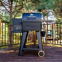 Wayfair  Meat Probe Wood Pellet Grills You'll Love in 2023