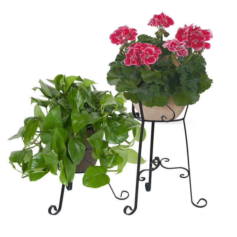 Edgerly Metal Cachepot, 57.5Cm x 38Cm x 38Cm