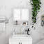 Bathroom Wall Cabinet With Doule Mirror Doors And Shelvs