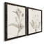 «Neutral Botanical Study VIIP», reproduction d'art encadrée - prête à être accrochée-559107757-559107760-558944181