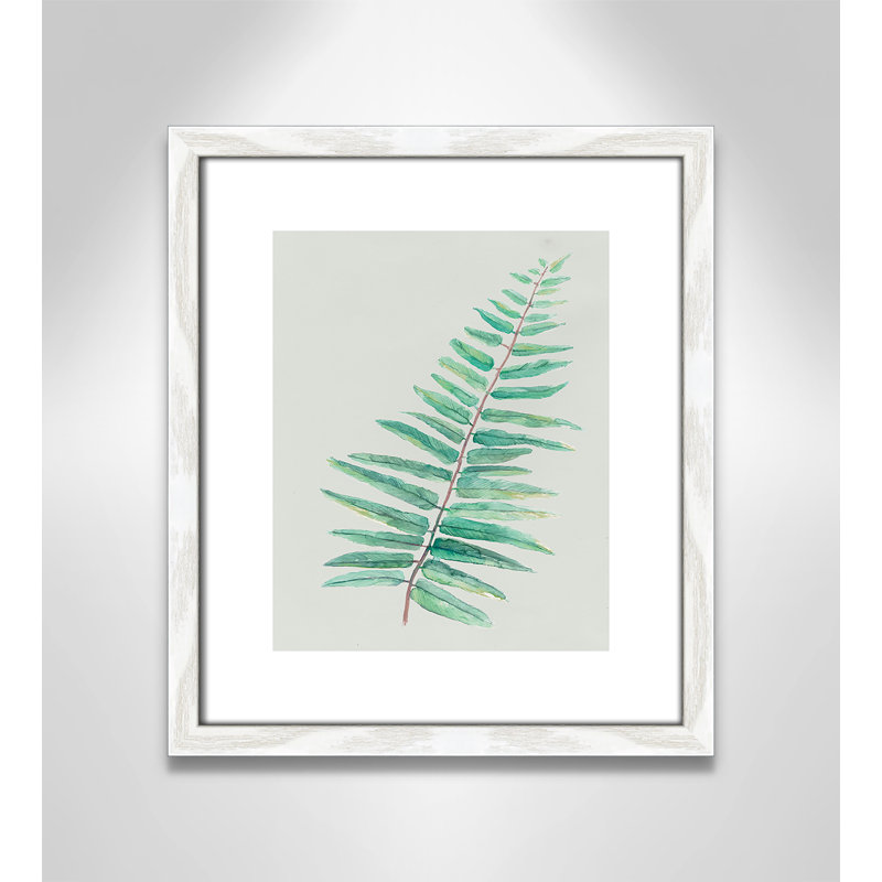 «Delicate Botanical I», reproduction sur papier encadrée, Cadre à grain de bois blanc, H 15 po x l 13 po x P 0,75 po