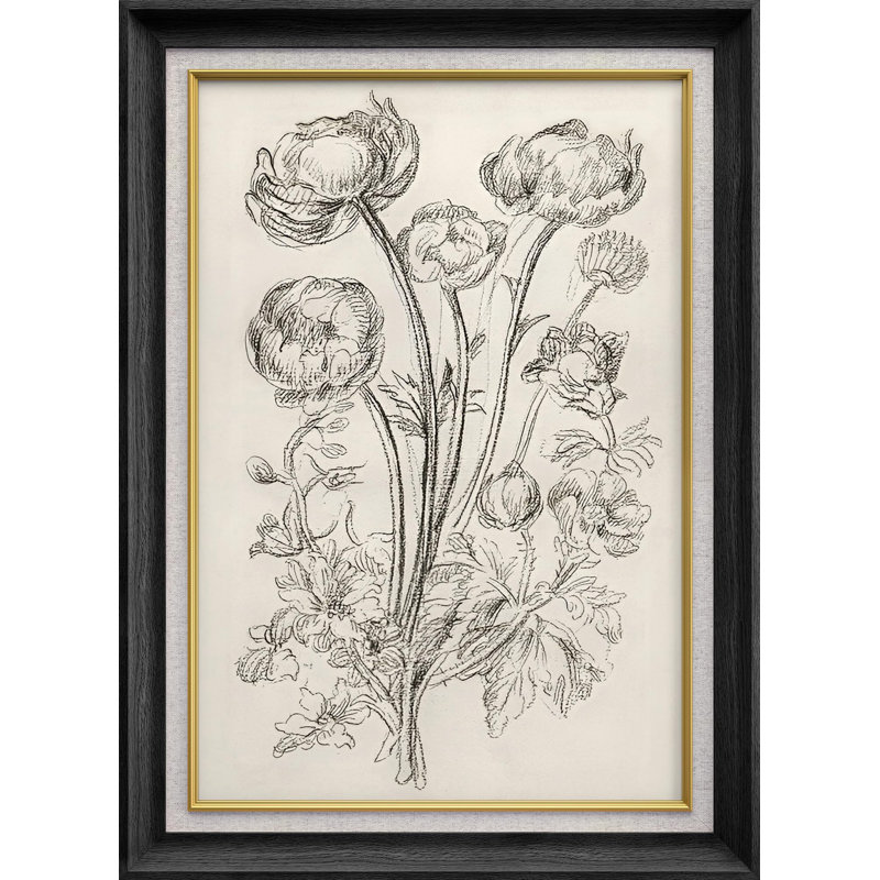 Wildflower Lily Poppy Botanical Nature Wilderness, reproduction d'art sur papier, Cadre noir, Pas de tapis