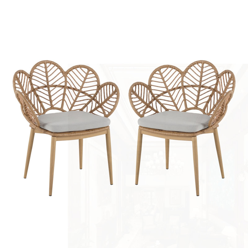 Ensemble de 2 chaises d'extérieur en osier