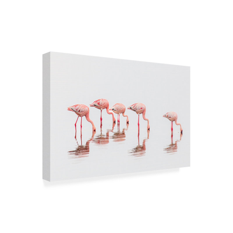 «Flamants dans la brume sur toile» par Jeffrey C., H 12 po x l 19 po x P 2 po