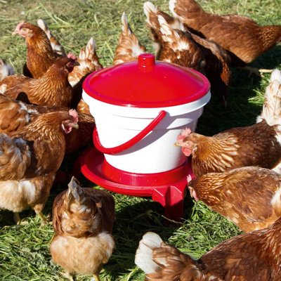 Kerbl Poultry Waterer 12L Plastic