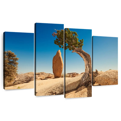 Genévrier et monolithe Lynelle Joshua Tree Park